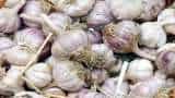 garlic price hike garlic price in Delhi; production of garlic 2018-19