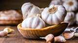 Garlic prices touch Rs 300/kg in Delhi-NCR 