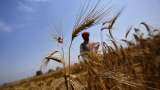 Indian Economy will improve farmers Income