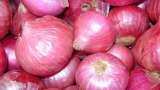 Government will continue to take tale of onion and pulses