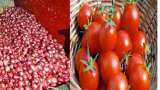 Onion price today tomato price; vegetables prices in Ambala, Haryana 