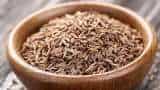 Cumin temper in kitchen? Definitely read this news, Delhi police busted Fake cumin spice factory in Bhawana