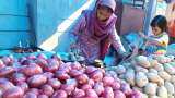 MMTC import 6,090 tonnes onion from Egypt Onion Price
