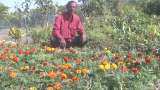 Online Nursery Business, Farmer Vradhichand become a businessman