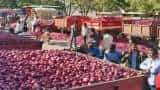 Onion price news today:790 tonnes of imported onions reach India, some sent to Andhra Pradesh and Delhi
