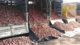  onion Farmers to get benefit of onion price hike, MP government released Rs 116 crore