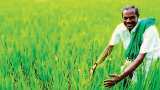   Budget 2020: Finance Minister Nirmala Sitharaman said that to increase the income of farmers in the country, there is a need to promote organic farming.