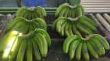 Indain railways prepare plan for kisan ran yojna, Guntakal Division has loaded Bananas, for export to middle east countries, in a Refrigerated (Reefer) Container train from Tadipatri.