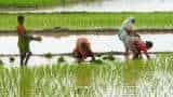 Farmers compensation for crop loss pesticide management bill