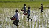 Farmers' Income Increasing, Modi Government's Soil Health Card Scheme