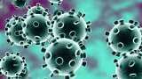 Central government alert on coronavirus threat, many steps are being taken