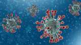COVID-19 Epidemic: Is Coronavirus spread through the air? World health organisation reveals the Airborne truth