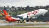 Spicejet turns passenger planes into cargo jets, with cargo on seats facility 