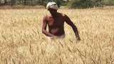 Farmers Income, agriculture Package: Government takes farmers welfare decisions and agriculture activities during Lockdown