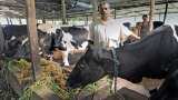 Start dairy Farming, NABARD gives loan subsidy on Dairy