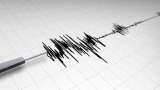 Earthquake tremors felt in Delhi-NCR,Epicentre of the earthquake in East Delhi, 3.5 on richter scale