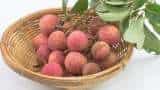 postal department india post royal litchi and jardalu mangoes Bihar, book from here