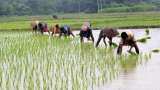 Pradhan Mantri Fasal Bima Yojana: Crop insurance last date 31 July 2020, farmers PMFBY benefits