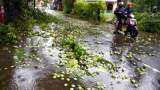 Cyclone Nisarga in Mumbai update Maharashtra and IMD Rainfall alert in Madhya Pradesh