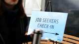 best employment opportunities: After lockdown, where will jobs come from construction, insurance, real estate