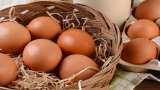 Farmers Income double: Organic Meat and Organic Egg Production in India