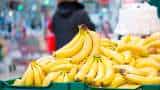 Indian Banana exports Gulf Countries, Farmers getting good prices