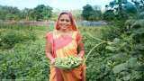 Farmers Income Haryana Government Harit brand retail outlets agri produce