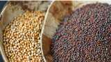 Punjab government to use Barcodes and QR codes for farmers seeds wheat and rice Agriculture