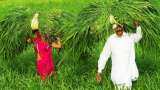 E-Peek Pahani mobile app reduce farmers hardships
