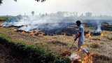 Delhi pollution menace; PUSA Decomposer will stop stubble burning this year
