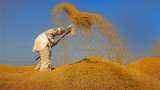 Export of agricultural products in India increased in September by 82 percent from last year; check details here