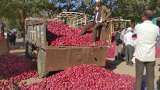 Onion price Today ; Nafed sets 50 rupee kilo floats bids for sale