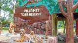 Tiger reserves in Uttar Pradesh Reopen from today