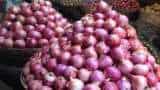 Onion price today down rs 1000 quintal in Nasik Lasalgaon Mandi to Rs 5300, Afghan onion brings down soaring price