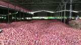 onion price today: CM Yogi Adityanath Uttar Pradesh government fix stock limit for traders to control rate