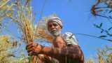 Pradhan Mantri Kisan Samman Nidhi 2020 status check account: 7th installment of yojna transfer in farmers accounts November end