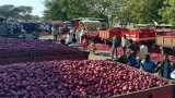 India allows Onion Export will be effective from 1 January; DGFT issued a notification