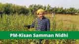  PM-Kisan Samman Nidhi: Farmers to get pm kisan yojana 8th installment