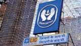 life insurance corporation of india: LIC gain record profit from equity market 