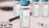 bharat biotech says coronavirus vaccine covaxin works against uk strain variant found in india 