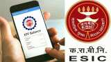 Ministry of Labor announced additional benefits under EPFO and ESIC schemes; check details here