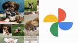 Google Photos free unlimited storage to end today: What happens to your pictures, videos
