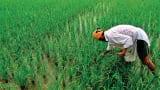 Good news for Famers: Union Cabinet approves increase in MSP for kharif crops for 2021-22