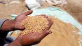 PMGKAY: Government made record purchase of wheat, 49 lakh farmers got the benefit of the scheme