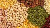Big relief! Central relaxes stock limits of pulses for Millers, wholesalers while exempted importers amid kharif sowing 