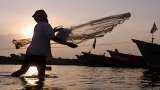 PM Modi Matsya Sampada Yojana to help double exports of fisheries create jobs know here all details