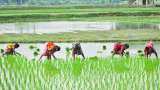 sbi kisan credit card now farmers can fill review from home on yono app