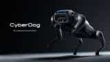 Xiaomi Cyberdog Gadget mi Robotic Cyberdog an experimental open source machine know its price and features latest news in hindi