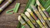 government hikes sugarcane FRP to Rs 290 per quintal piyush goyal refuses to increase selling price of sugar