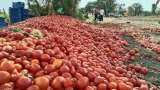 farmers of maharashtra throw tomato in street due to price slash of produce